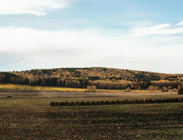 Még tombol a pollen, várjuk már a végét! Pollenjelentés