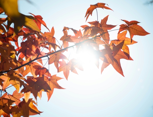 Ma Amália, Mária és Márk névnapja van – ilyen a személyiségük