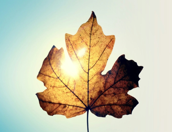 Időjárás október 5: Vénasszonyok nyara van, de kabát már kell