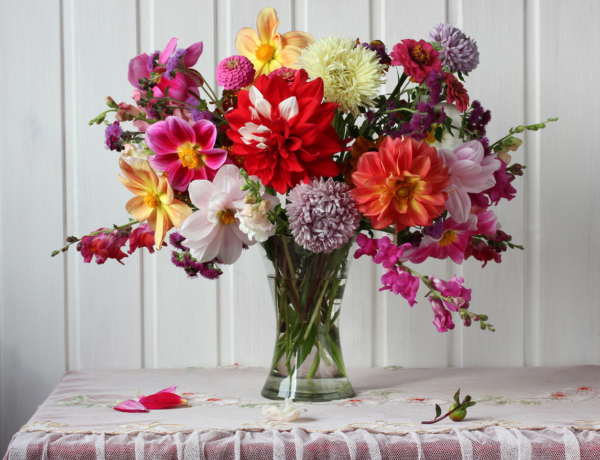 Ma, november 21., Olivér és Kolumbán névnapja van – Milyen a személyiségük?