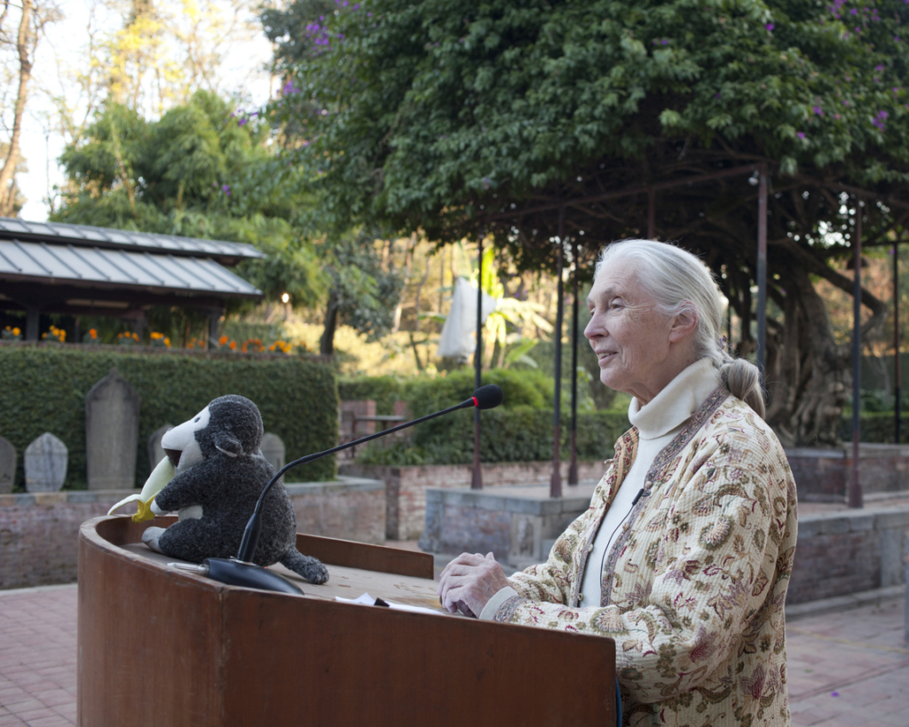 Jane Goodall 11 mindennapi szokása, ami segített neki 91 évig élni