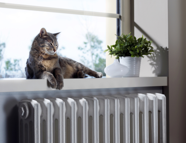 Tudósok szerint ilyen hatással van rád, ha túl melegre fűtöd a lakásodat