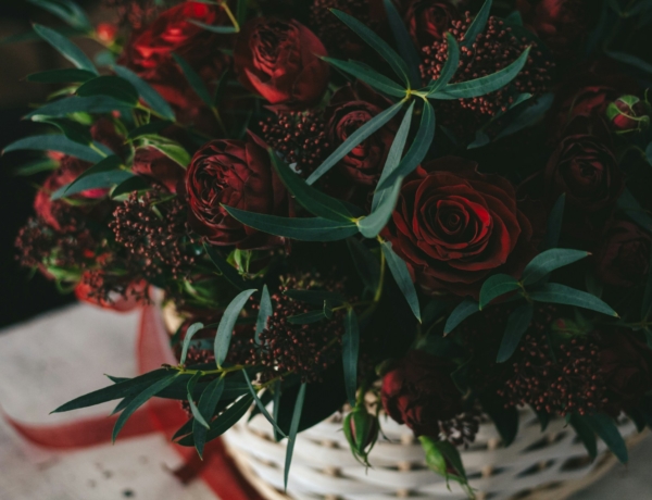 Ma, november 25. Katalin és Katinka névnapja van – Milyen a személyiségük?