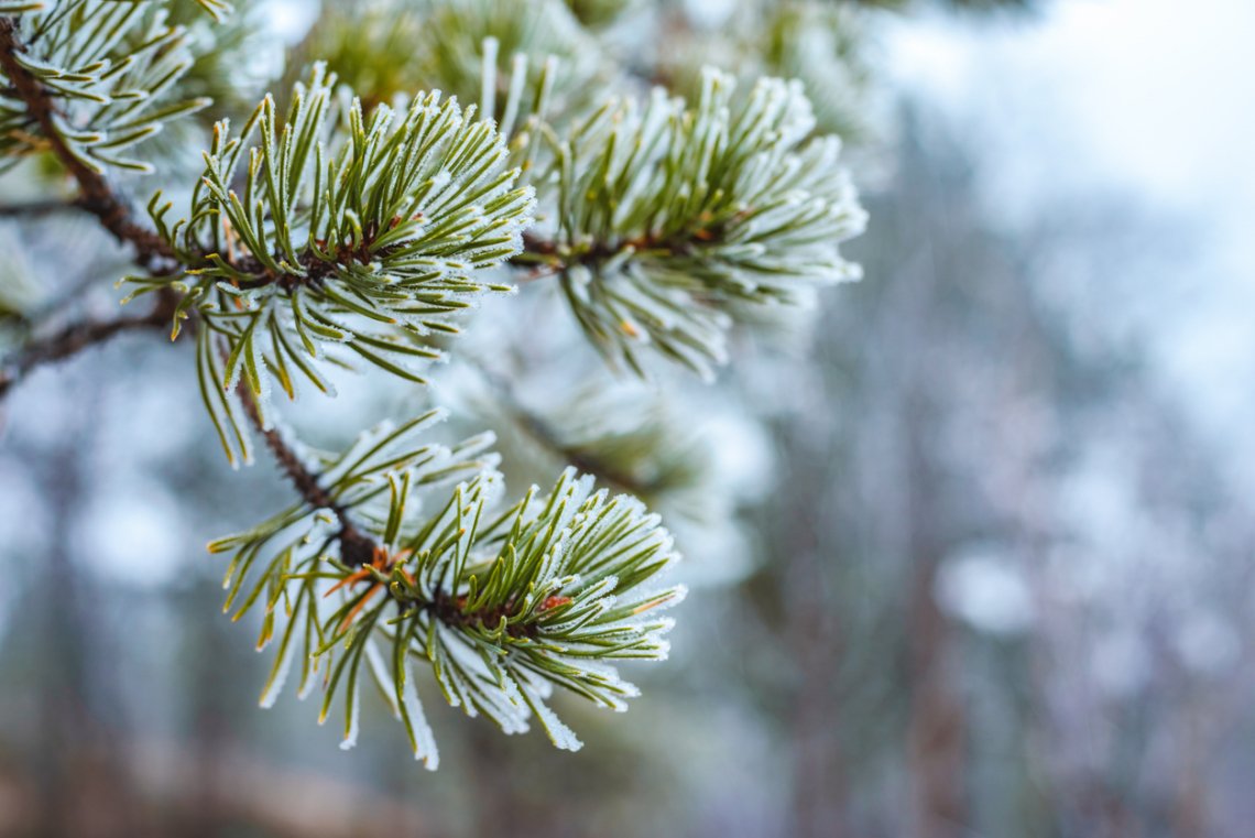 Időjárás december 2.: Egyre hidegebbek a nappalok is