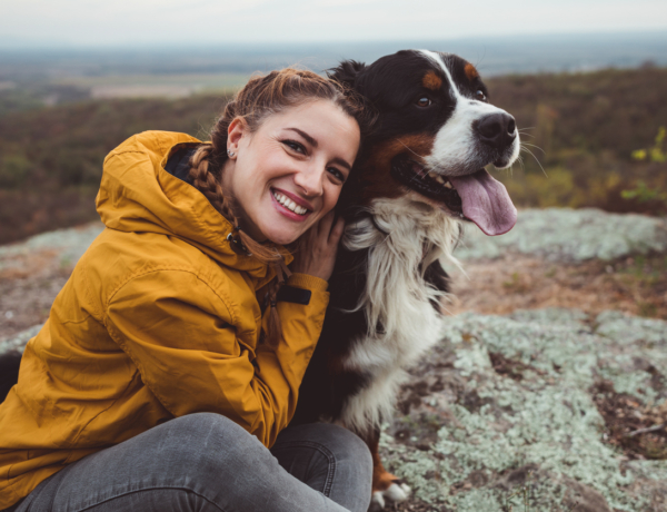 Több mint meglepő a lista: ezekben a kutyafajtákban van a legtöbb farkas DNS