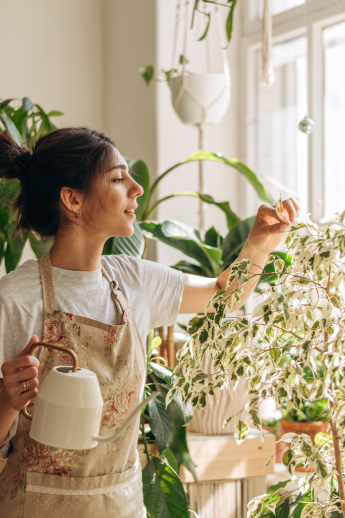 Nő szobanövényeket gondoz