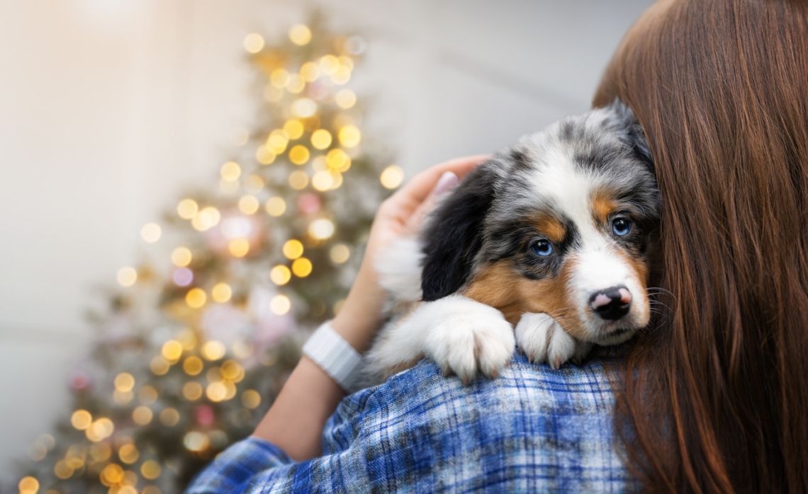 Döbbenetes: Tényleg érzik a kutyák, ha valaki csak színleli a boldogságot?