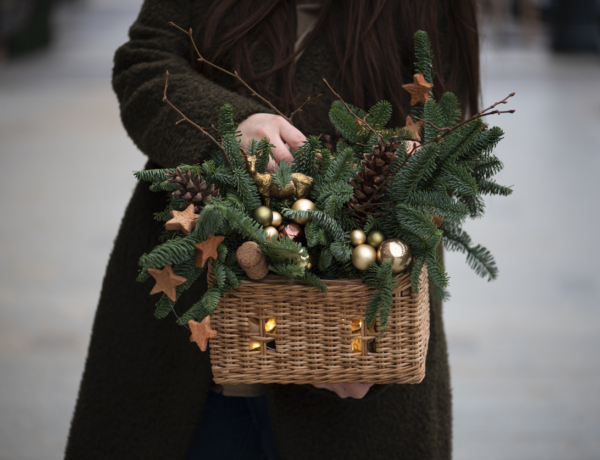 Ma, december 26.: Boldog Névnapot, Istvánok!