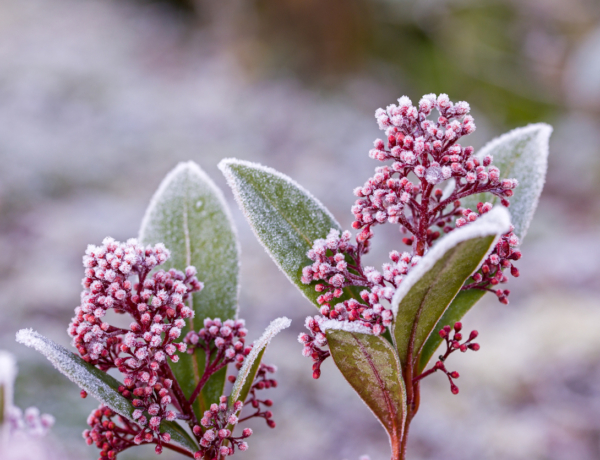 Ma Elza és Natália névnapja van – Milyen a személyiségük?