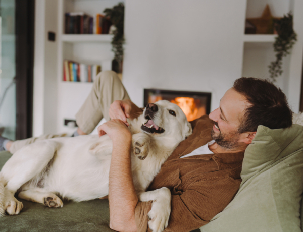 A kutyád már azelőtt tudja, hogy kivel illesz össze, mielőtt te rájönnél