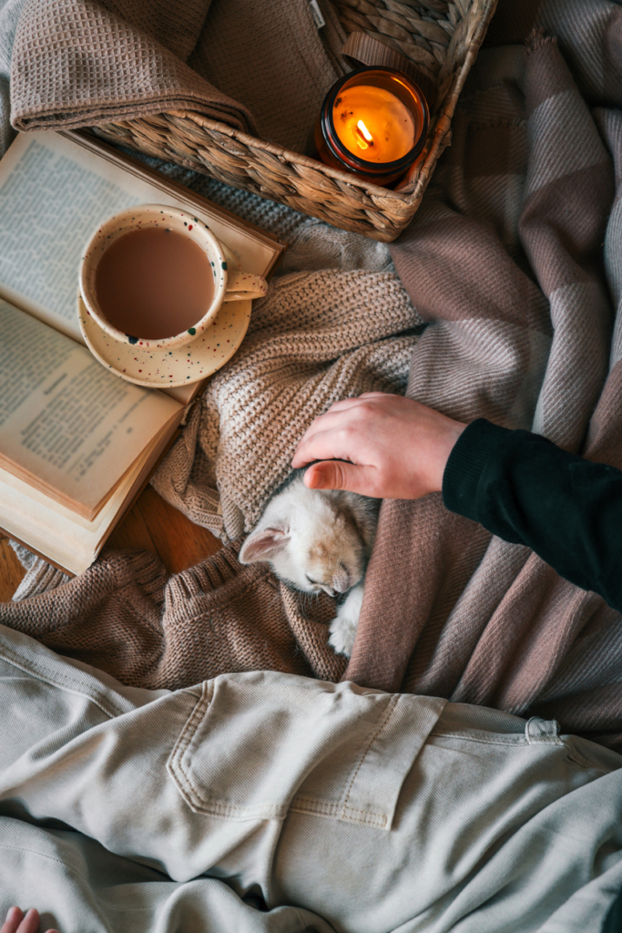 Nő egy cicát simogat az ágyban