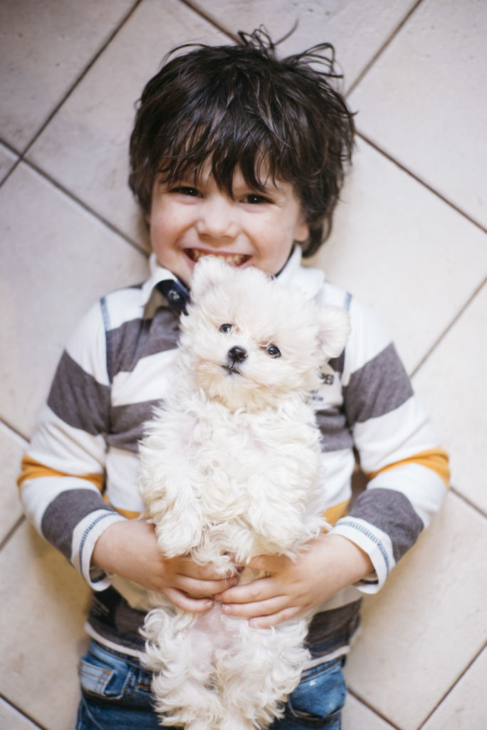 Kisfiú hanyatt fekve, ölében egy fehér kiskutya