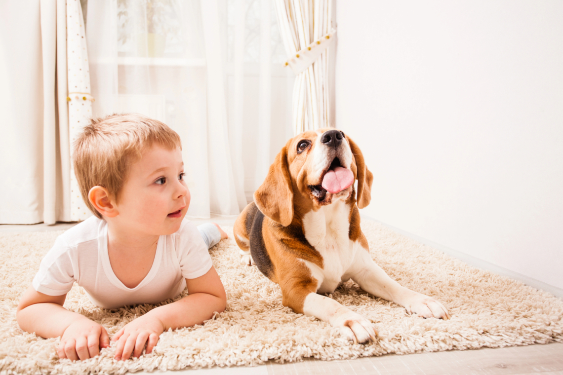 A kutya és a gyermek különleges kapcsolata – Ilyen, amikor a háziállat érzelmi támogatást is nyújt