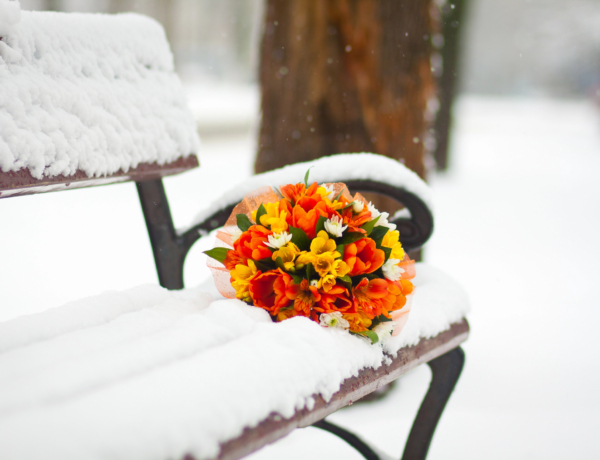 Ma, január 27.: Angelika és Angyalka ünnepelnek – mit árul el a nevük?