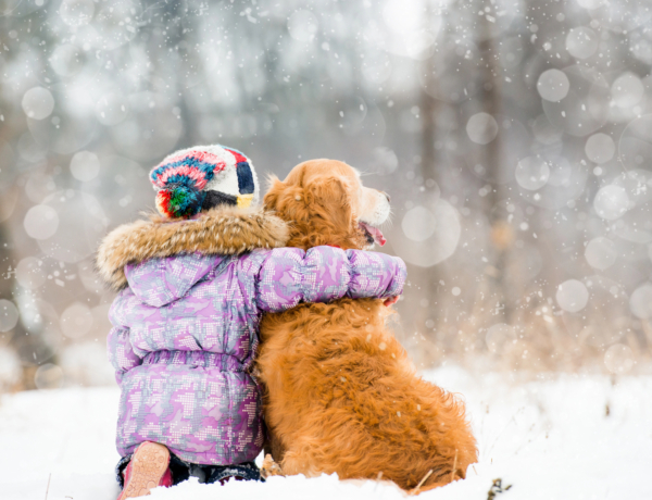 Ezt hozza 2026. január 27. a numerológia szerint: az empátiád ma aranyat ér