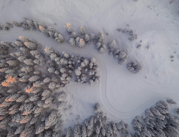 Időjárás 2026. január 4.: Fagyos reggel, napsütéses, de szeles délután, helyenként csapadékkal