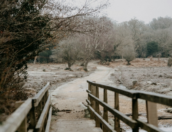 Időjárás 2026. január 6.: Kitart a hideg, amihez helyenként csapadék is társul