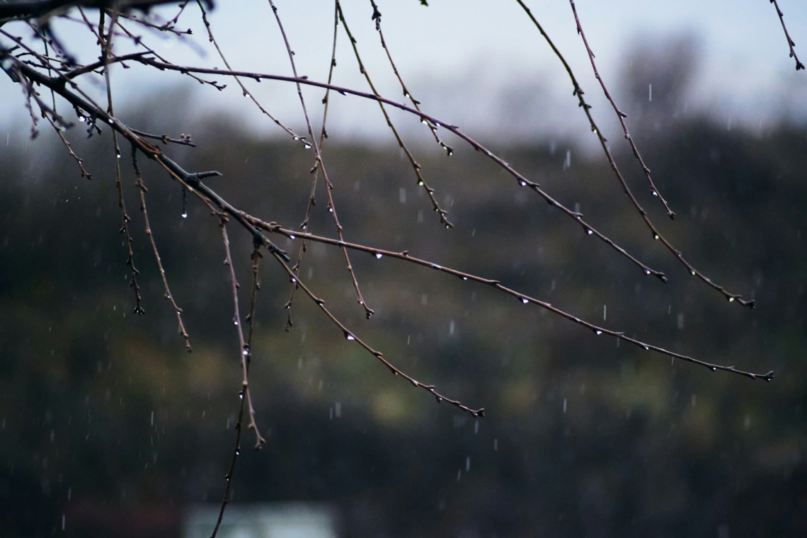 Időjárás 2026. január 31.: Mérsékelt lehűlés és csapadék is várható