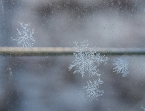 Időjárás 2026. január 20.: Erős fagy és köd is nehezíti a napot