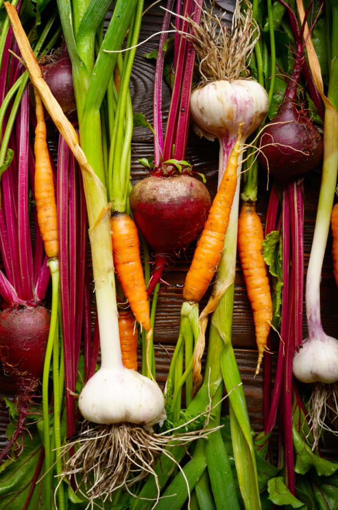 Gyökérzöldségek egymás mellé halmozva