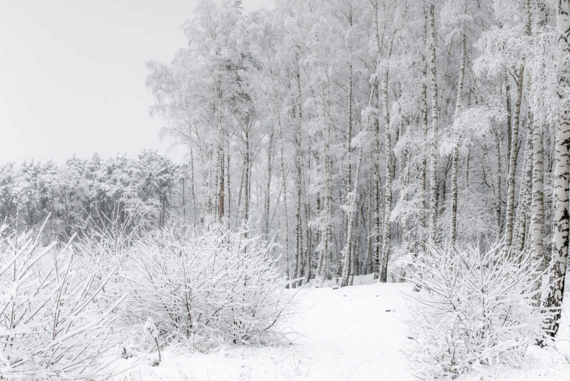 Időjárás 2026. január 11.: Fagyos és szeles nap vár ránk kevés napsütéssel