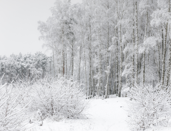 Időjárás 2026. január 11.: Fagyos és szeles nap vár ránk kevés napsütéssel