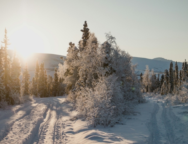 Időjárás 2026. január 22.: A napos délelőttöt helyenként csapadékos, szeles délután váltja