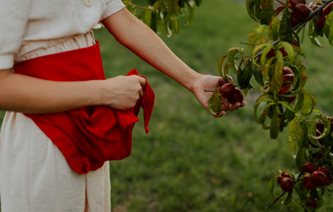 Ez a gyümölcsfa a legjobb a kertedbe a születési hónapod alapján