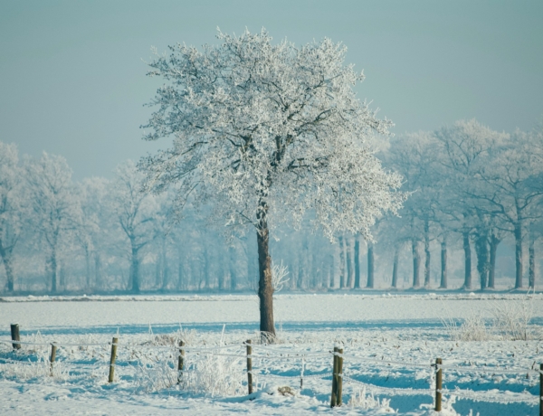 Időjárás 2026. január 23.: Enyhül a hőmérséklet és többfelé napsütés is várható