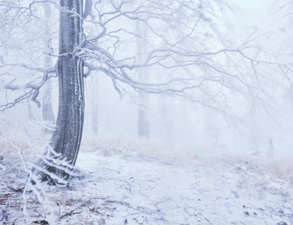 Időjárás 2026. január 19.: Szürke, ködös idővel indul a hét