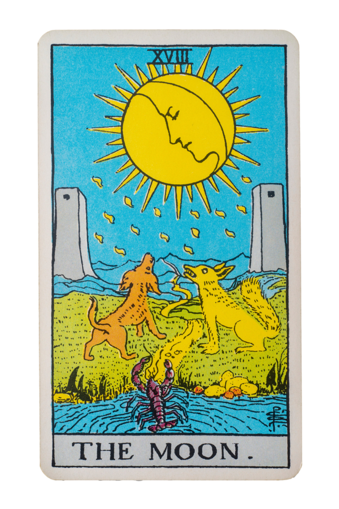 Tarot lap: A Hold