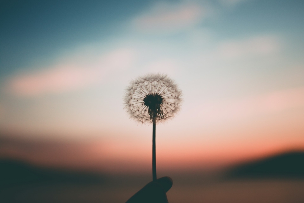 3 spirituális üzenet Eckhart Tolle tanítótól, ami hozzásegít a belső békédhez