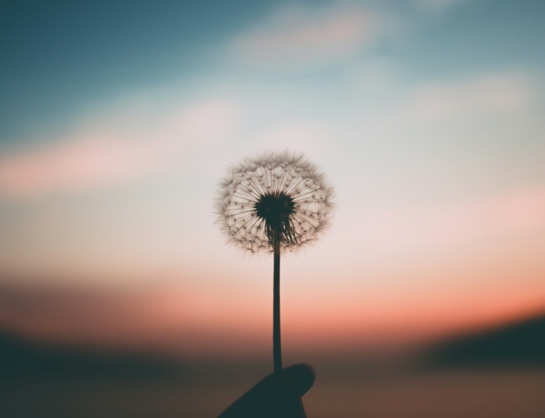 3 spirituális üzenet Eckhart Tolle tanítótól, ami hozzásegít a belső békédhez