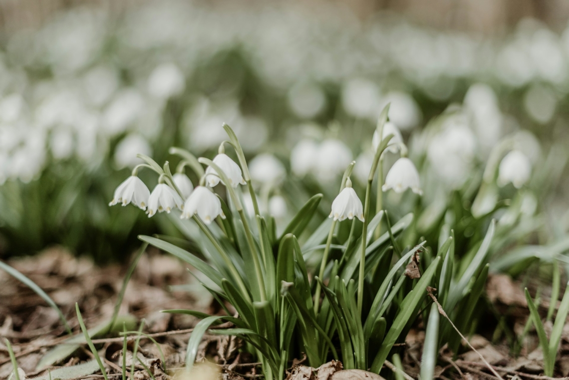 Időjárás 2026. február 26.: Túlnyomóan napos, derült időre számíthatunk