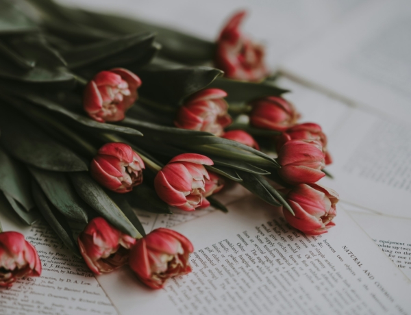 Ma, február 27.: Ákos és Bátor névnapja van– milyen a személyiségük?