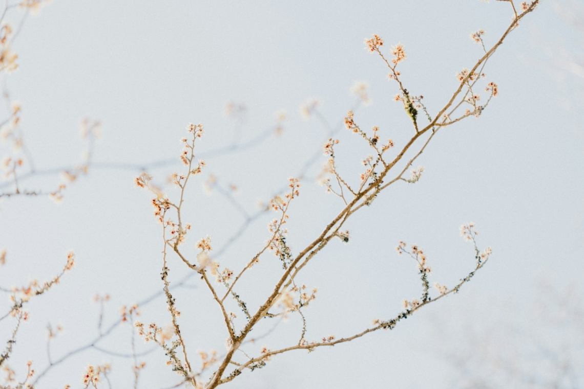 Időjárás 2026. február 8.: Ma még enyhe az idő, de kisebb hidegfront közelít