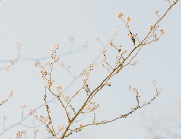 Időjárás 2026. február 8.: Ma még enyhe az idő, de kisebb hidegfront közelít