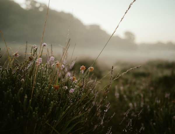 Időjárás 2026. február 24.: Az enyhe időt heves széllökések és néhol csapadék kíséri
