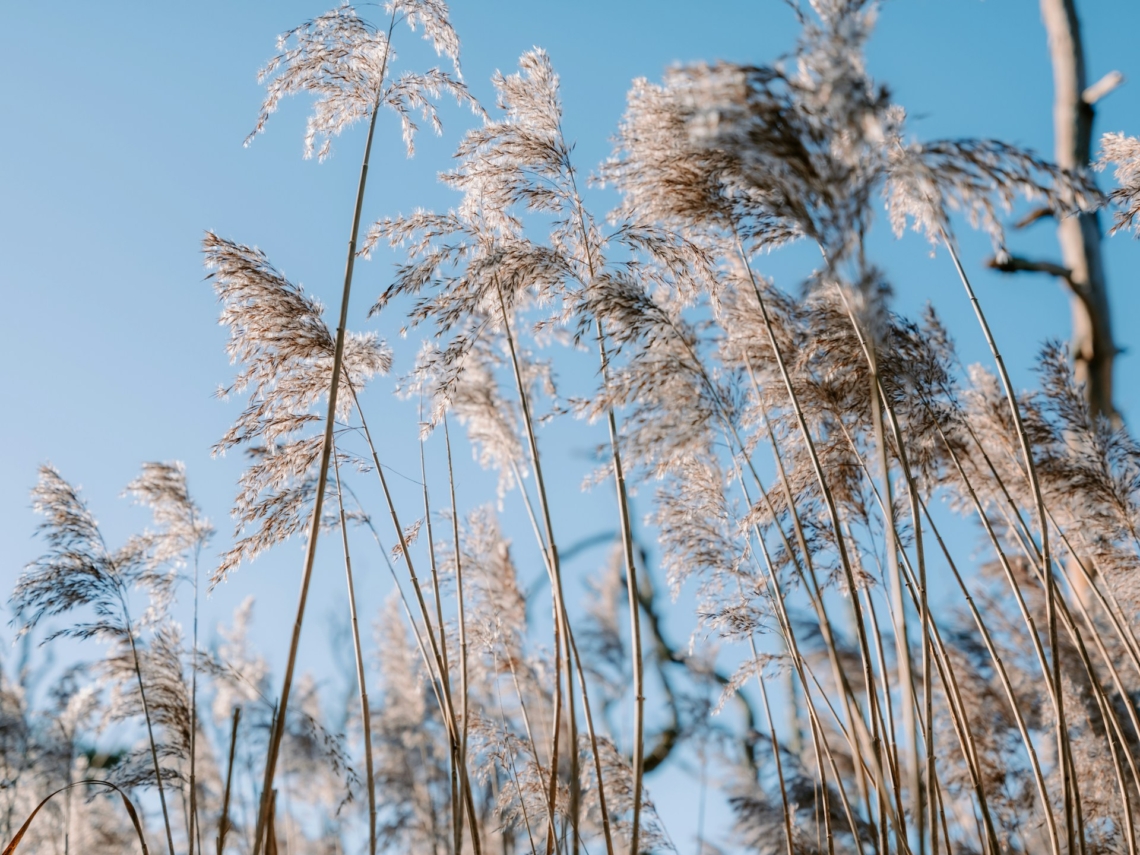 Időjárás 2026. február 10.: Meleg, de szeles és felhős napra készülhetünk