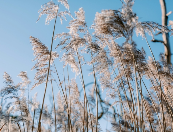 Időjárás 2026. február 10.: Meleg, de szeles és felhős napra készülhetünk