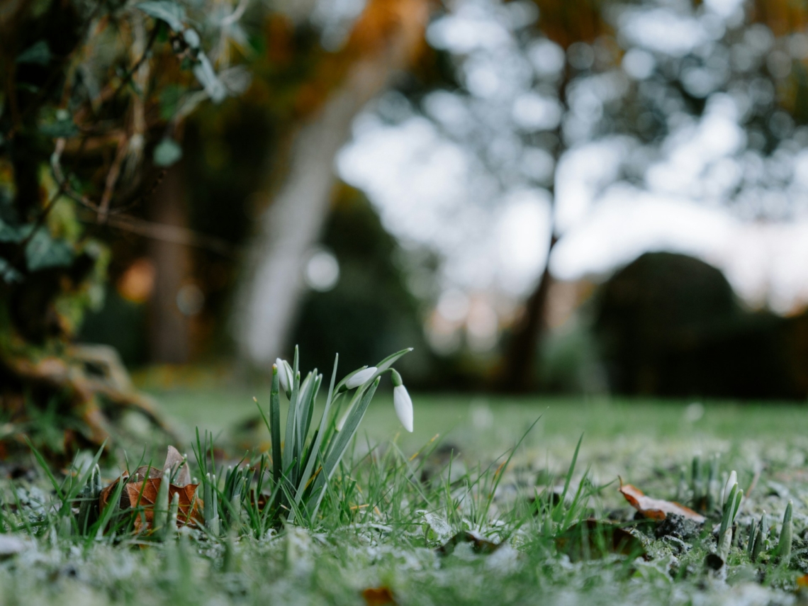 Időjárás 2026. február 14.: Tavaszias idő kíséri a Valentin-napot