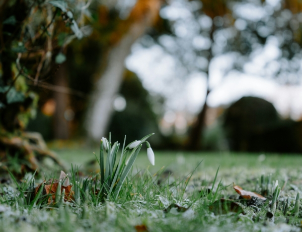 Időjárás 2026. február 14.: Tavaszias idő kíséri a Valentin-napot