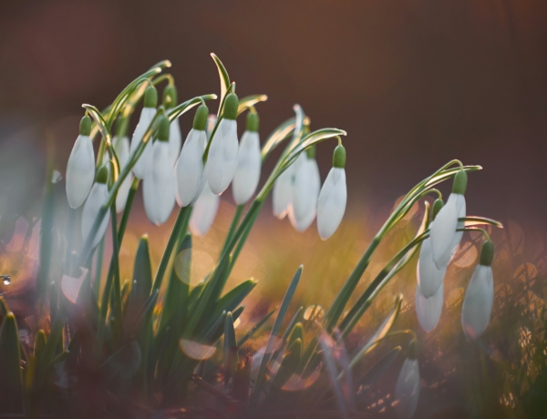 Időjárás 2026. február 23.: Erős szél és csapadék várható, de enyhül az idő