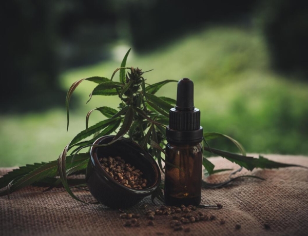 Egészséges egyensúly a mindennapokban: a CBD olaj