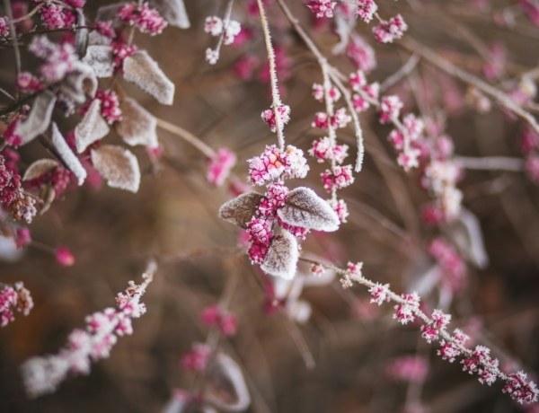 Időjárás 2026. február 18.: Gyengén felhős, szeles nap