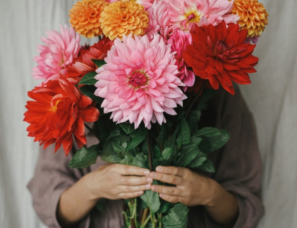 Ma, február 12.: Lídia és Lívia névnapja van – ilyen különleges jelentéssel bír a nevük