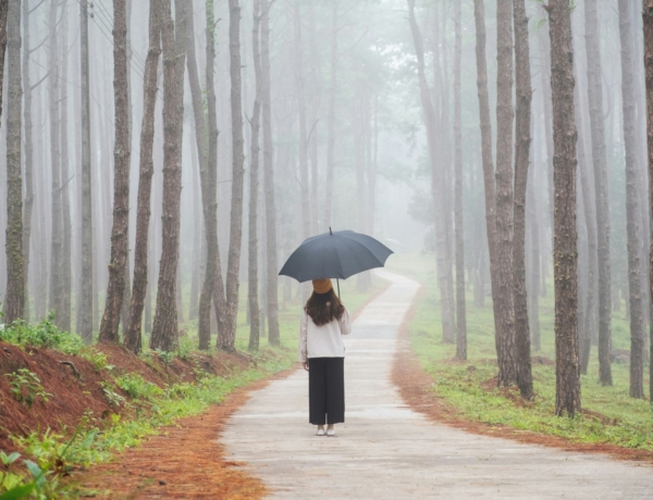 Időjárás 2026. február 2.: Melegfront közelít és van esély a csapadékra