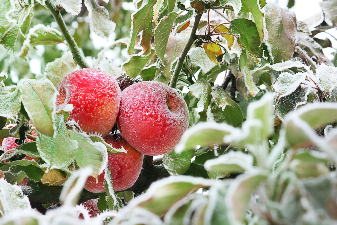 Ma, február 6.: Dorottya és Dóra névnapja van– mit üzen a nevük?