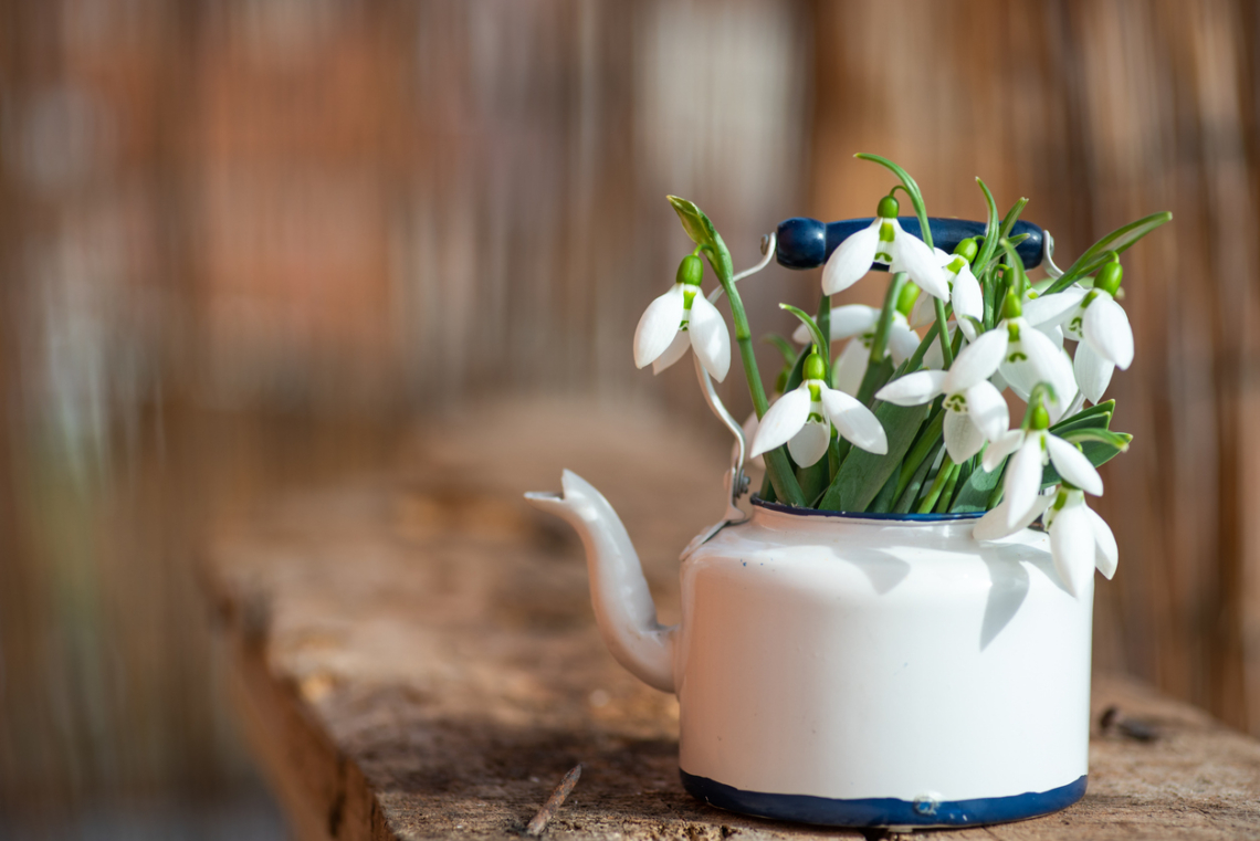 Ma, február 21.: Eleonóra ünnepel – ezt jelenti a névnapos neve