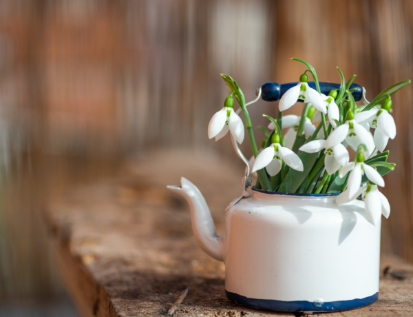 Ma, február 21.: Eleonóra ünnepel – ezt jelenti a névnapos neve